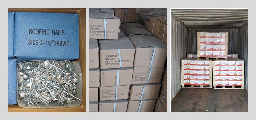 electro galvanized roofing nails