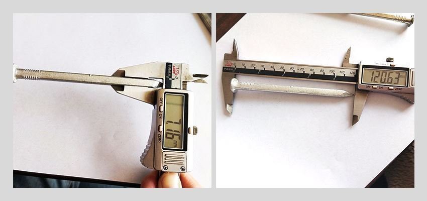 Square Boat Nail for Construction inspection