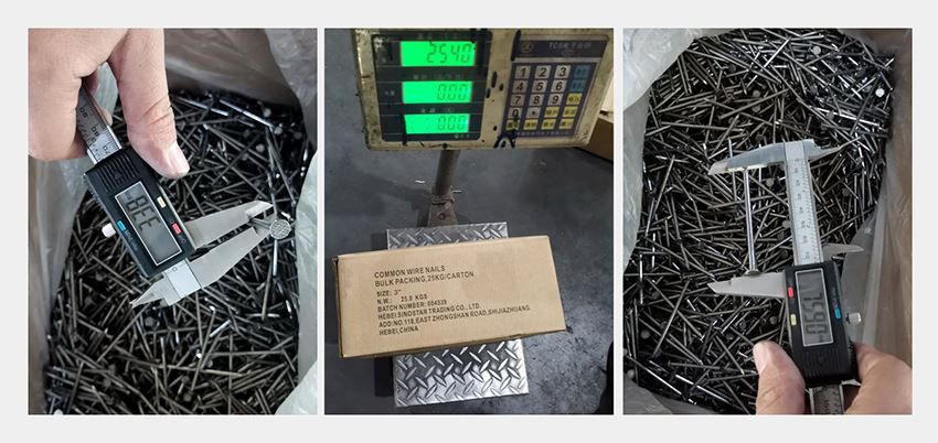 galvanized common nails inspection