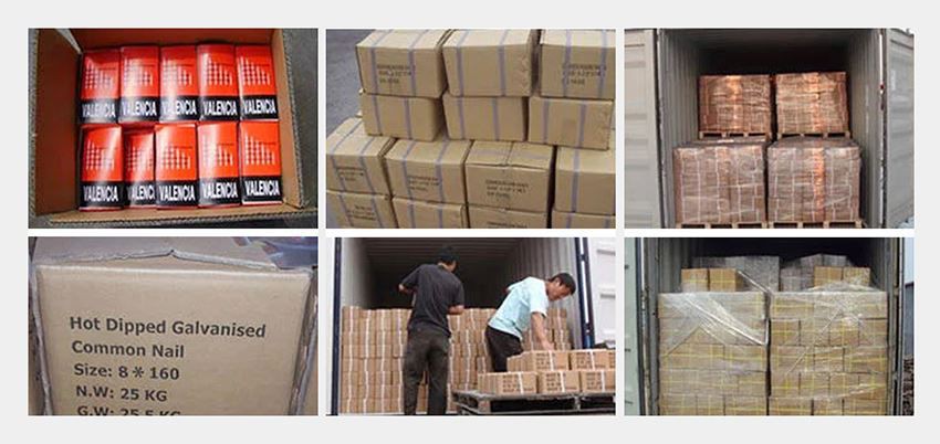 galvanized common nails package