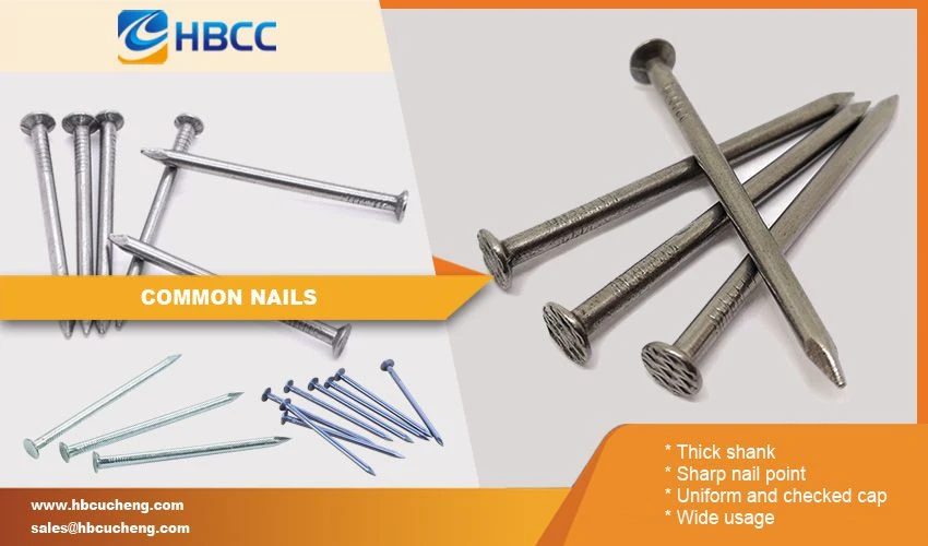 common nails common nails