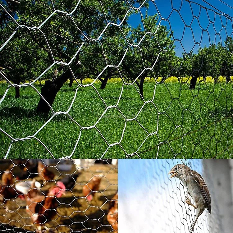 hexagonal wire mesh